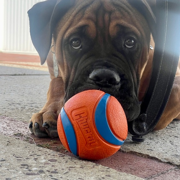 Meet your Posher, Lisa - Picture 8 of 11